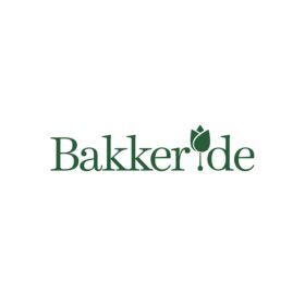 Bakker