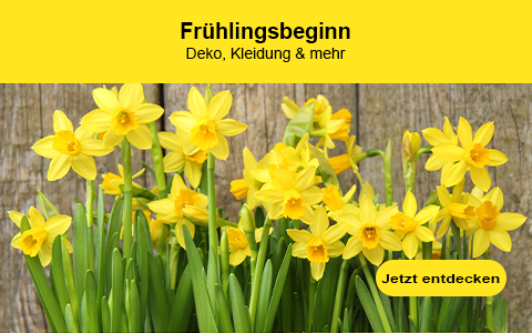 Frühlingsangebote entdecken! Mit unseren Gutscheinen, Rabatten & Deals Frühlingsangebote entdecken! Mit unseren Gutscheinen, Rabatten & Deals