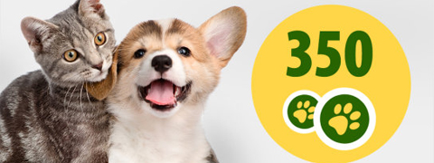 10% zooplus Gutschein + Extra 350 zooPunkte