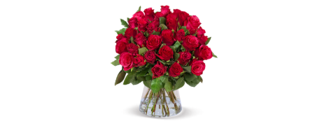 50% BlumeIdeal Gutschein: 50 rote Rosen - Stark reduziert!