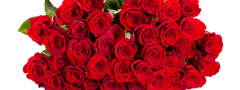 Sparpreis bei Blume Ideal: 44 rote Rosen "ClassicRed" 43% reduziert
