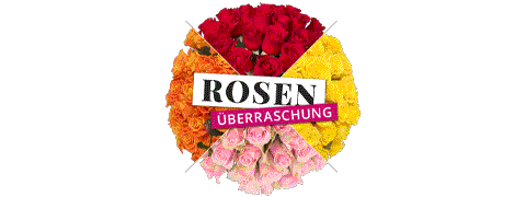 Blume Ideal Deal: -50% Rabatt auf Rosen-Überraschung