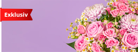 Blumen verschicken mit 20% auf alle Produkte Blumen verschicken mit 20% auf alle Produkte
